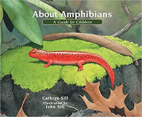 about-amphibians-cover-photo